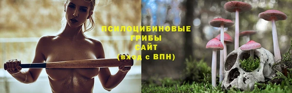 дурь Богородск
