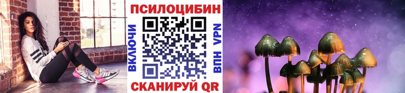 Псилоцибиновые грибы Psilocybine cubensis  Безенчук 